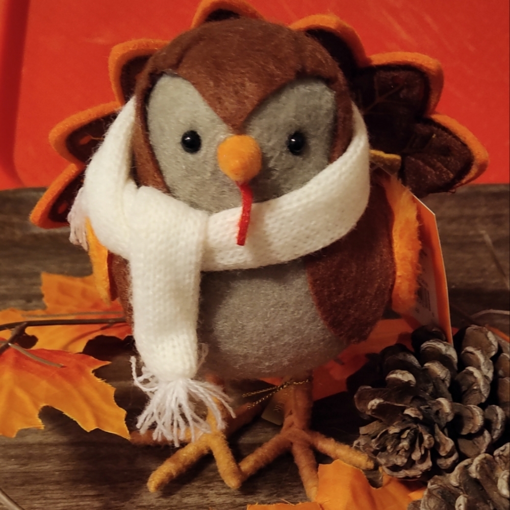 2022 Fall Hyde and Eek Turkey bird